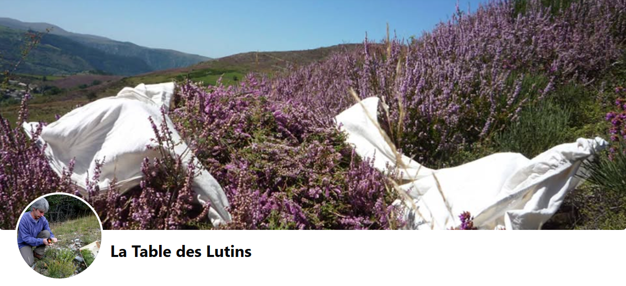 La table des lutins